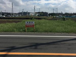 現地写真の画像です