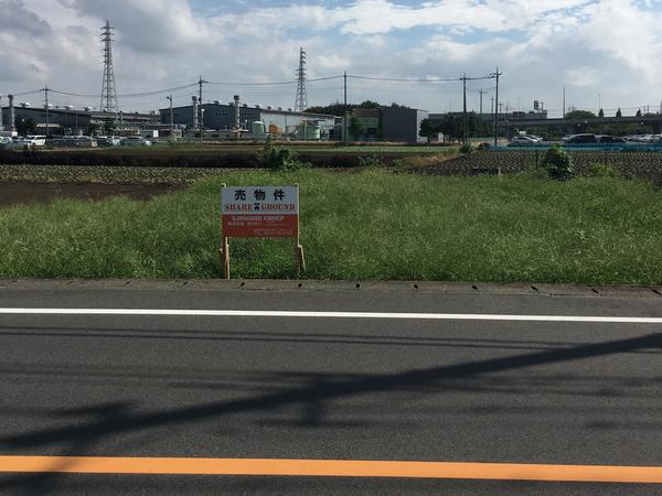 現地写真の画像です