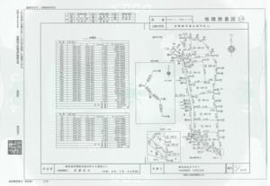 全体測量図の画像です